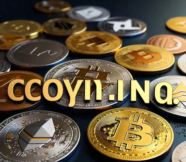 Coyyn.com: How Is Coyyn Revolutionizing Digital Asset Management?